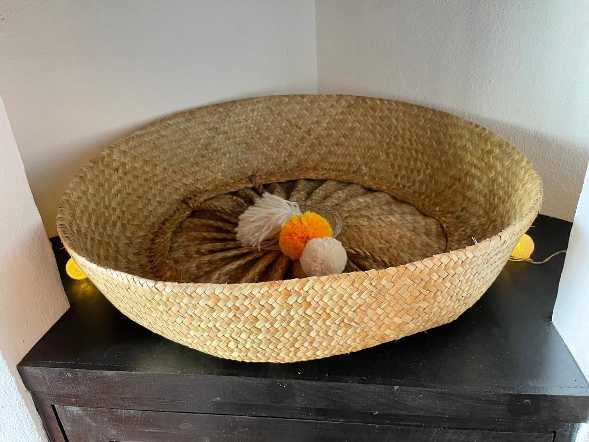Cozy Beach House サンタ・ルジア エクステリア 写真